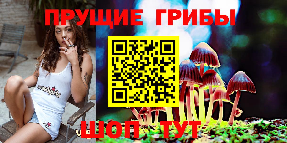 Галлюциногенные грибы Cubensis Сегежа