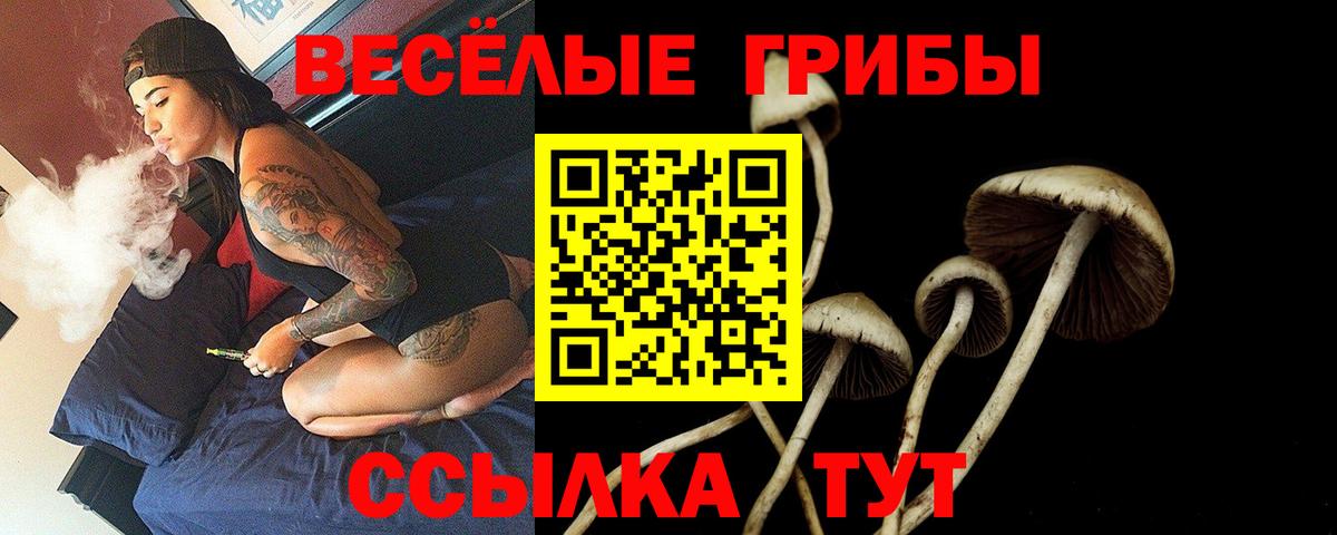 хочу   Вход с VPN  Сегежа  Галлюциногенные грибы Psilocybine cubensis 